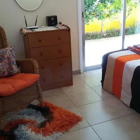 Rena's House