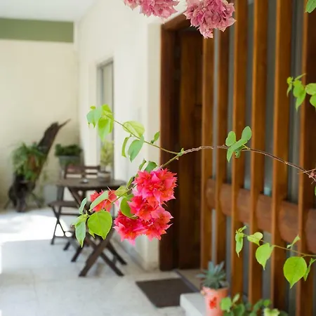 Rena's House 度假居 *
