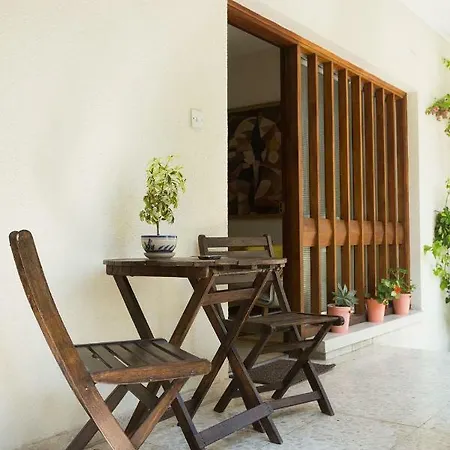 Rena's House