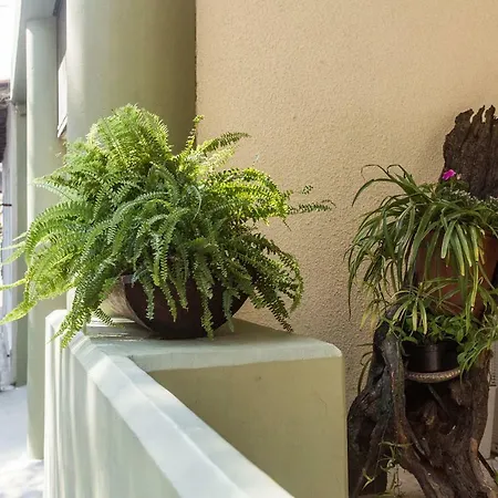度假居 Rena's House *